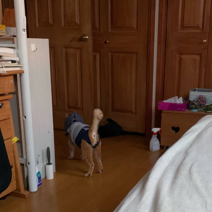 E912d4a3 adaf 4d1e 8ab8 ab8dffa2f3a9 1628287232661