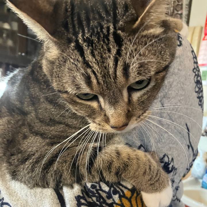 E912f760 f9a3 4ec3 ad6f f779fe1bd6f0 1769931834438