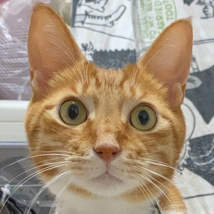 E912ffd6 359f 4200 aabf 476c964b9ccb 1660367410738