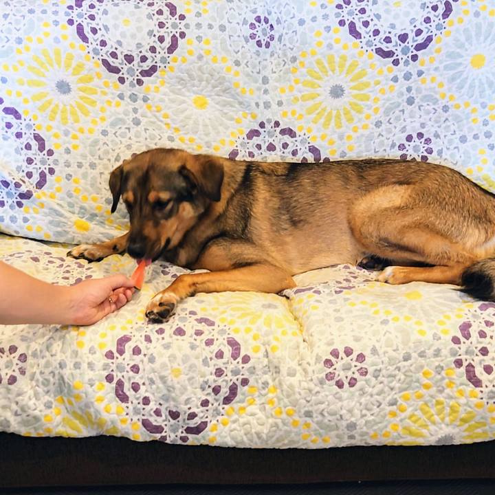 E912ffe7 44f9 4113 b068 71caef42cd3e 1718869961754