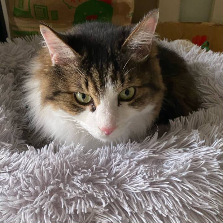 E9132945 c976 4e35 97c0 f34eed04a794 1665882619716