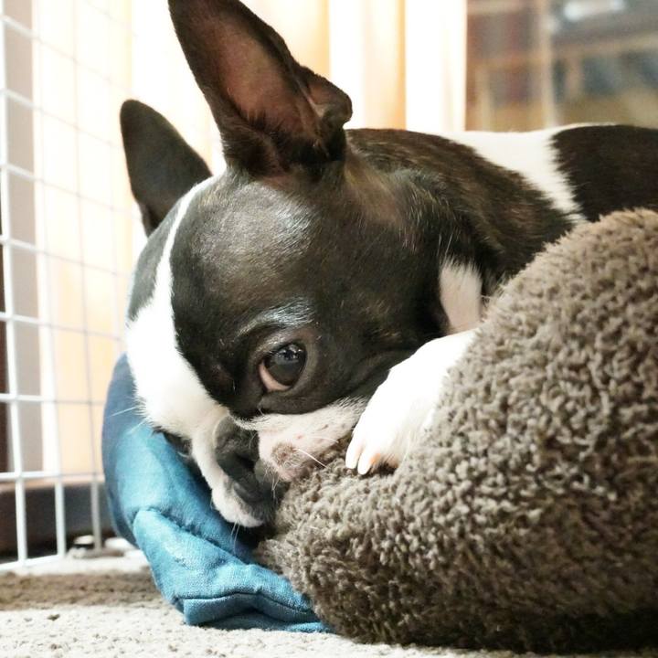 E913b0fa 3737 48f5 9af6 e9c7b6cf891e 1526388617272