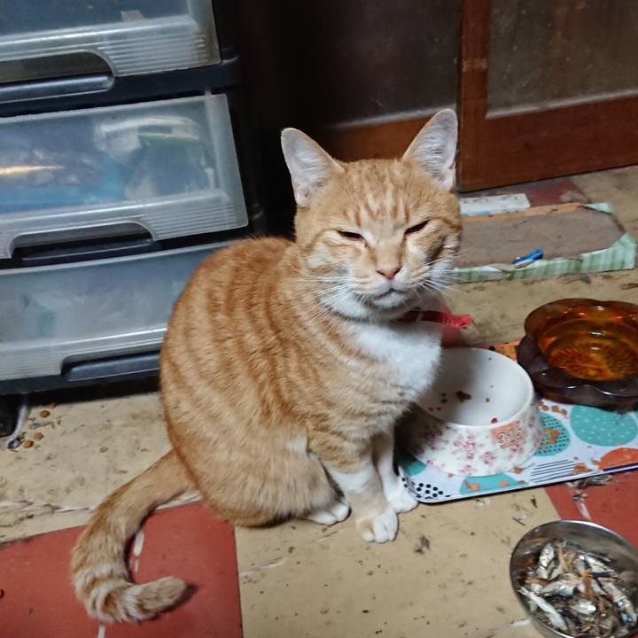 E913e1cb a1b0 42c6 8b1a ee5c33f56f66 1573808684793