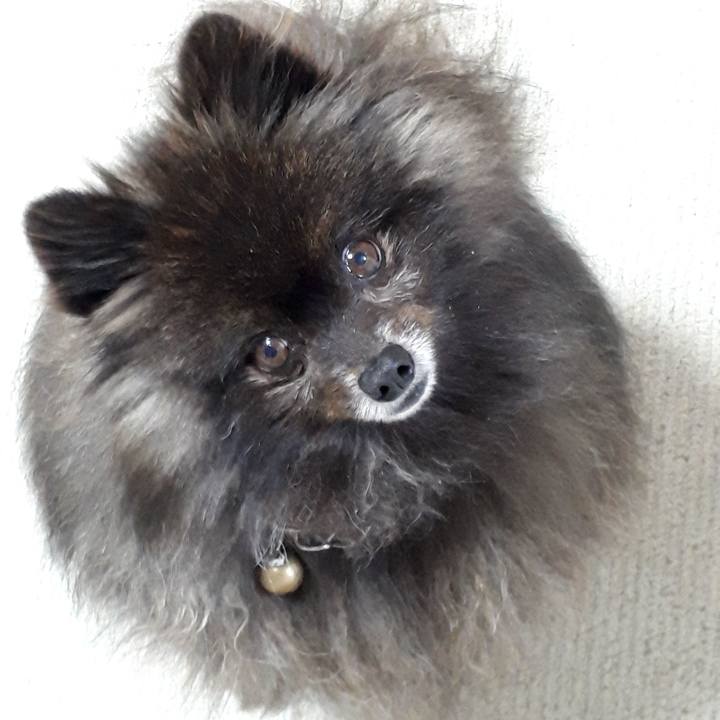 E914295f 8ff2 4b5f 879c 3d45c3ae0807 1518196804172