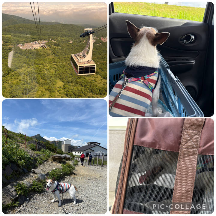 E9142a44 8e1d 4e66 96f9 a9fec80d09c3 1752451149289