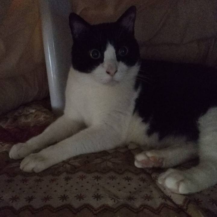 E914396a b778 490f b5c1 caa9cb263b50 1554069162863