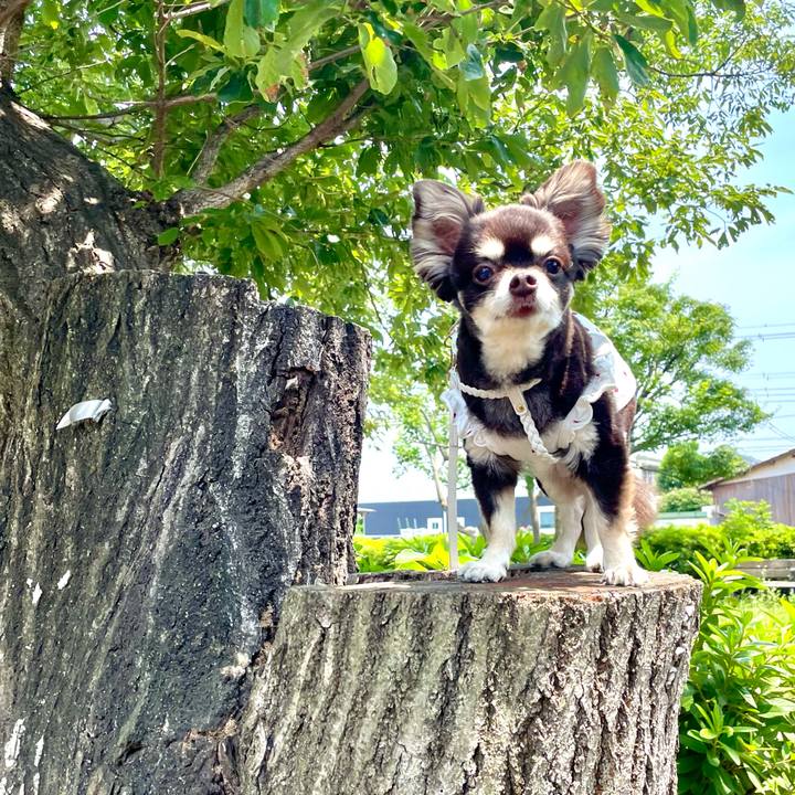 E91453ab eefb 4e70 8a05 1b8c45319fb4 1623391740705