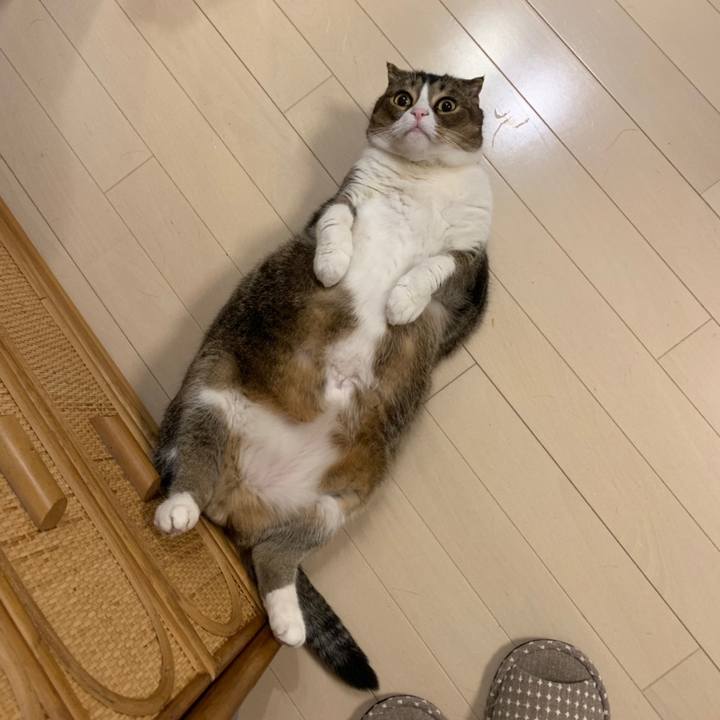 E9145e27 f266 4314 8fac df011a08e423 1558535020068