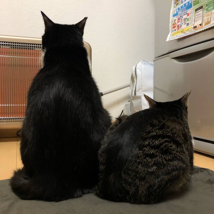 E91493df 354c 4f46 adf0 fdea7f564432 1550235313224