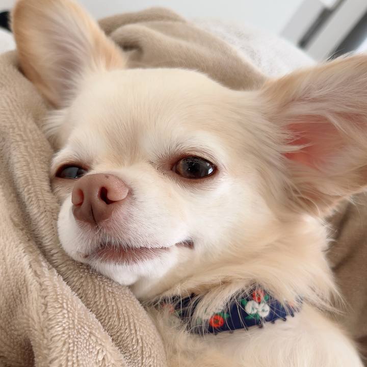 E914baf7 9f05 4026 a990 5a914cc40a21 1729815266183