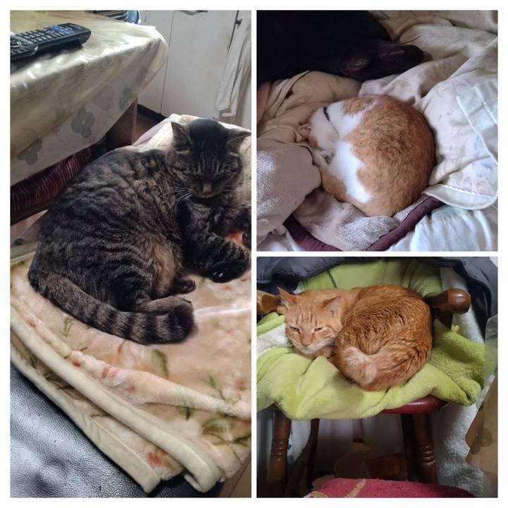 E914bc26 d8e3 403a b23b 3b761e319686 1768186855777