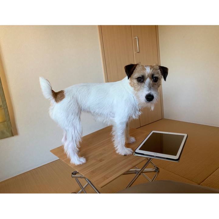 E914cc2b e592 46b3 bef2 20b05945398b 1589698218136