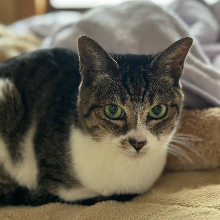 E914cd62 662c 4637 b7d2 41ae0e3a6331 1674525990531