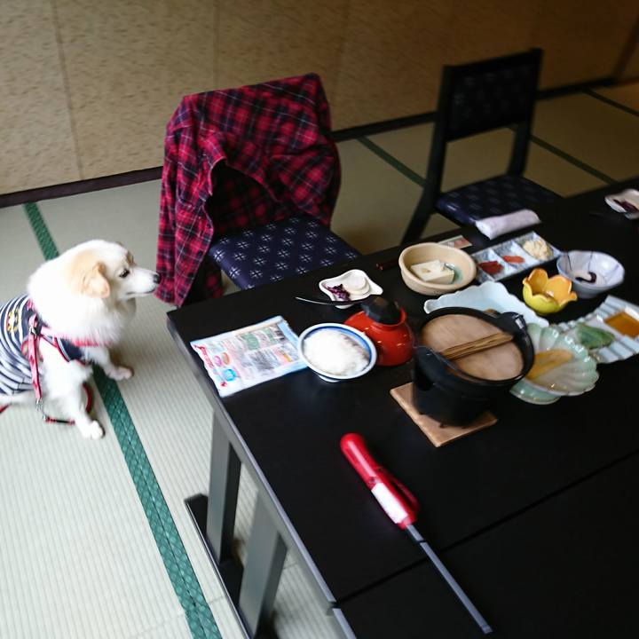 E914e9ba c960 4025 b89b 673c4326351c 1508972856070