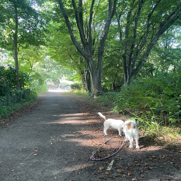 E914f9ec 3978 451c 9c70 e3e80354f664 1752365425899