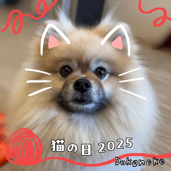 E91571f3 a4ba 49f3 960b 3f299d4e8f0c 1740120574970