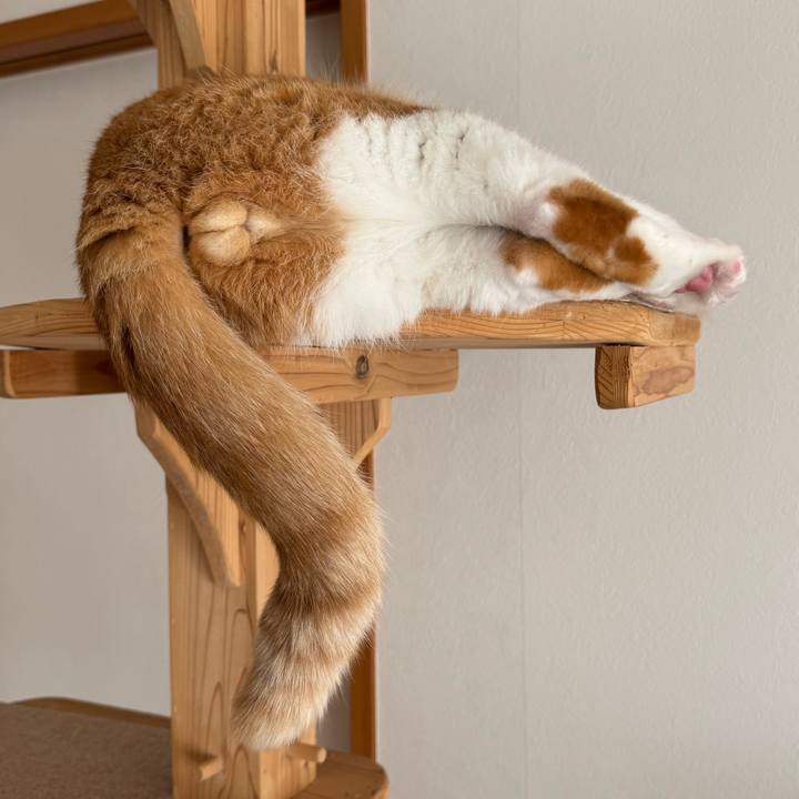 E915a06e a054 48a8 8513 325d84dc0ecd 1761636442544