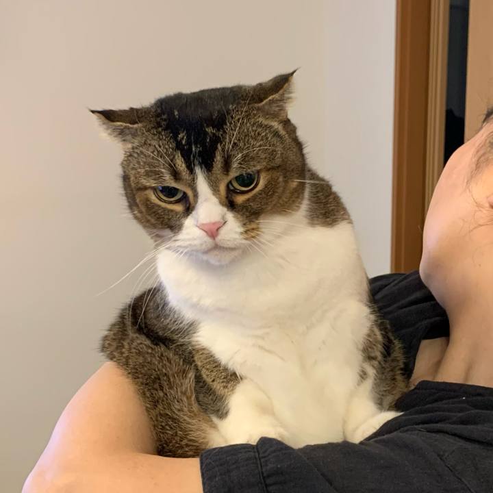 E9160b19 0d56 4d40 9e44 5a6e9e81d3ea 1660350634499