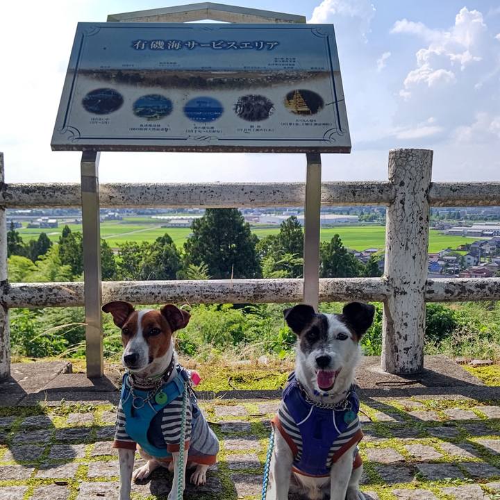 E9161e55 974d 4f3a 98c2 8e798b9f08c6 1658040003704