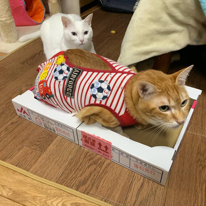 E9164365 51c6 4ab4 aedd 3ba4915f379d 1580984594152