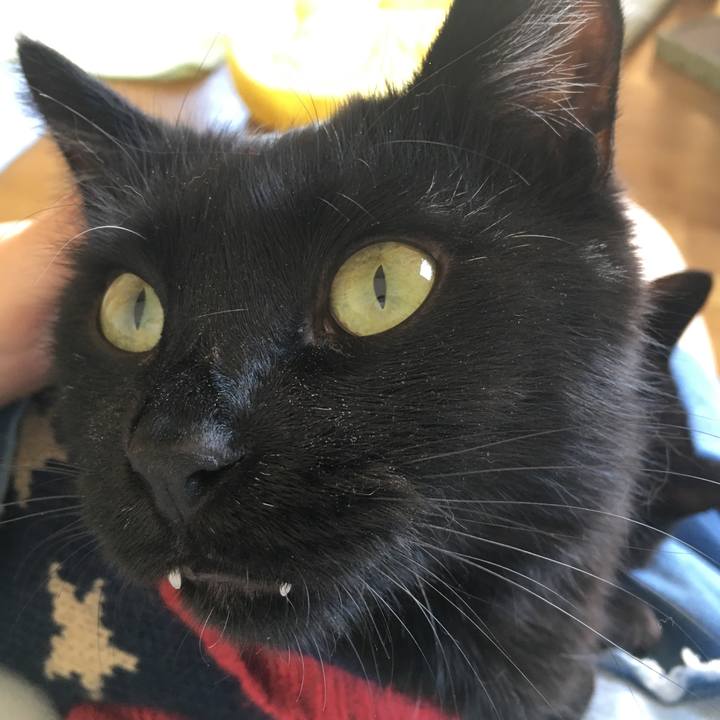 E9168349 1774 4fd2 a0bb 668a327108ac 1539998110315