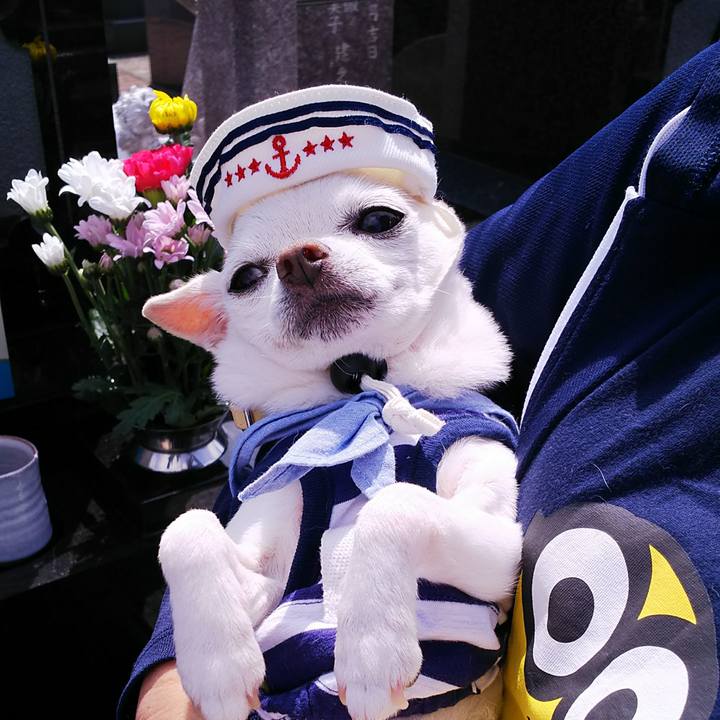 E916a3e5 677b 41e2 aa83 bef9f618b61d 1530442077386