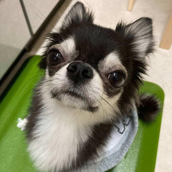 E916c548 238e 4954 9434 0edac32f5375 1640525517034