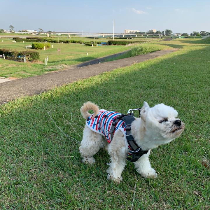 E916c587 901d 4746 8546 0c4b99f14f65 1589376839764