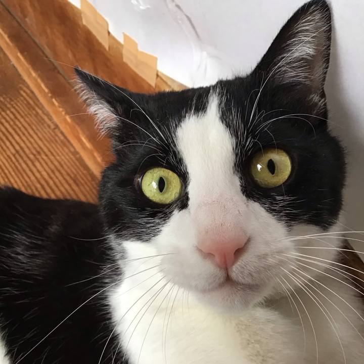 E916dc4c f220 401f bc12 4729eb441cd9 1680249867278