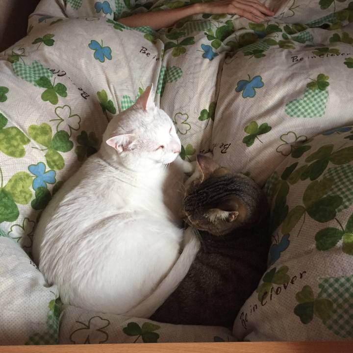 E916e5ce a438 4a85 9e70 1acc015c5470 1570053655402