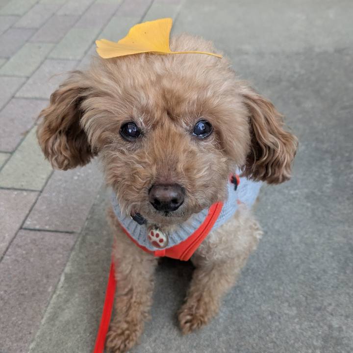 E916efbb e708 43cf 8060 14989bd057e3 1765492024988