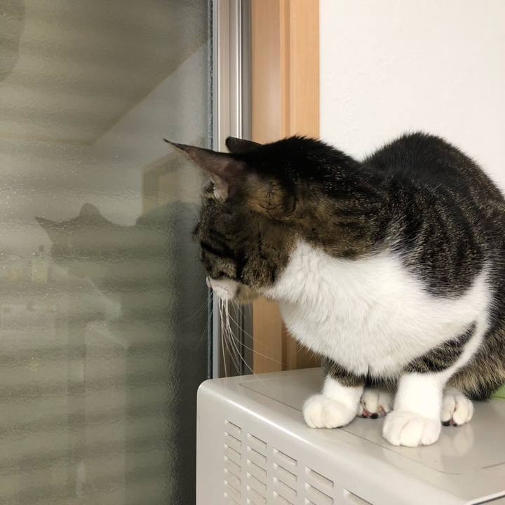 E91720a0 8c9c 4ad9 a47d db2e50a5b116 1517488125255