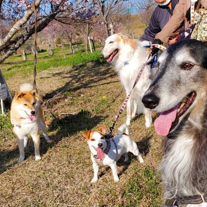 E91736db 61ce 41a4 bf4a a89ce0bf06d6 1615800810968