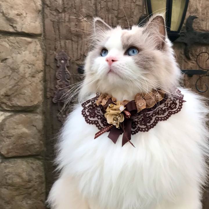 E91740c9 89c0 451f 9976 00091252c728 1604824824773