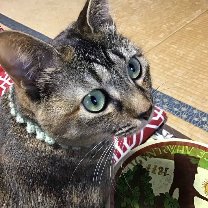 E91745b3 ca86 40c0 a69a bbf699d43175 1639779456341