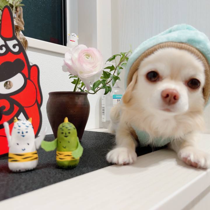 E91745f0 712d 44e8 86c5 30cb738351a0 1706796220390