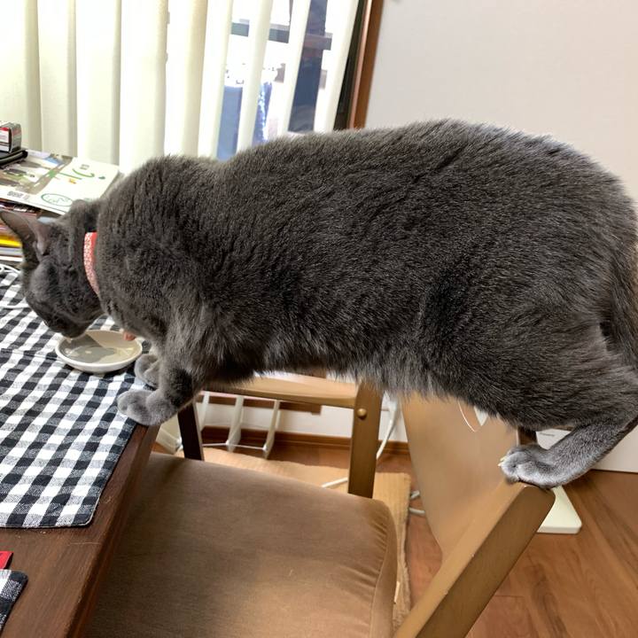 E9174957 def3 4c0a 90f8 d1dd07c0b3c7 1608449397164