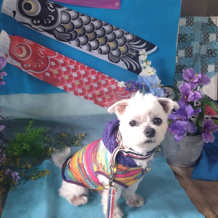 E9177acb 9745 47f7 8e83 a96a3736b20c 1746449809030