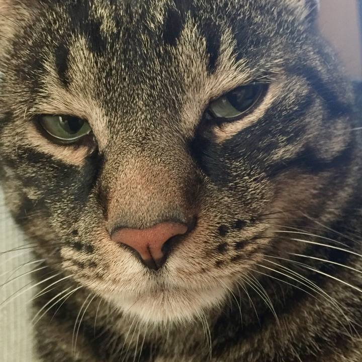 E9177cd1 e9b9 4331 85dd 3f2e659a7150 1530505866631