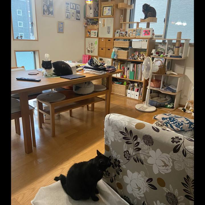 E9179032 c97e 468b ac81 7791692c9808 1727790586343