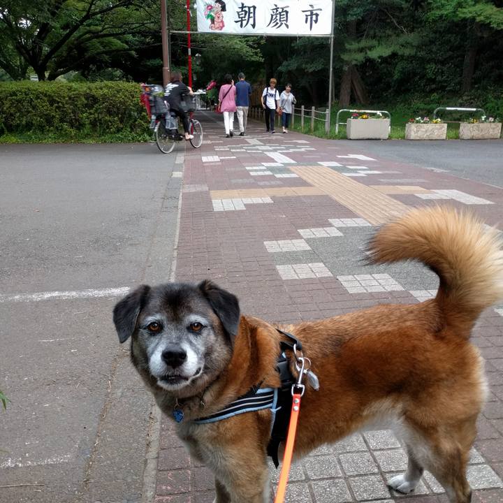 E917c14c 9aae 4943 aaec 17bc174f4b4d 1530261423732