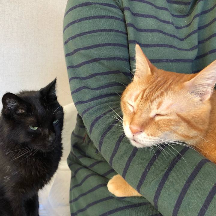 E917c408 665e 43fb ac38 ace052da0497 1597698871578