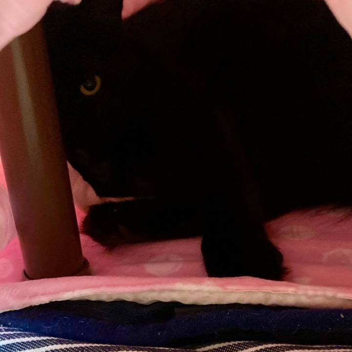 E917e7aa 1861 485d a960 ca74a5b2fe36 1733644140818