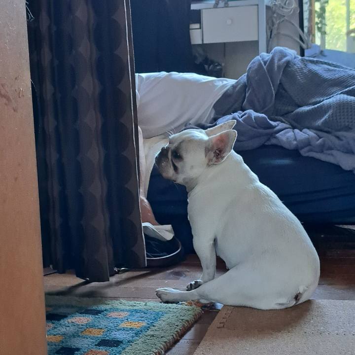 E918156c 8101 4e18 a5db afbe09443a89 1690498494635