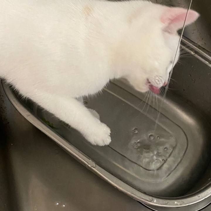 E91835b2 f53c 491f 8668 aed1bd63edcf 1604499963703