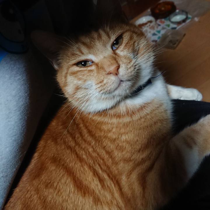 E9188047 bfdb 4cce 8cca 1ddb8cdd2387 1607805100080