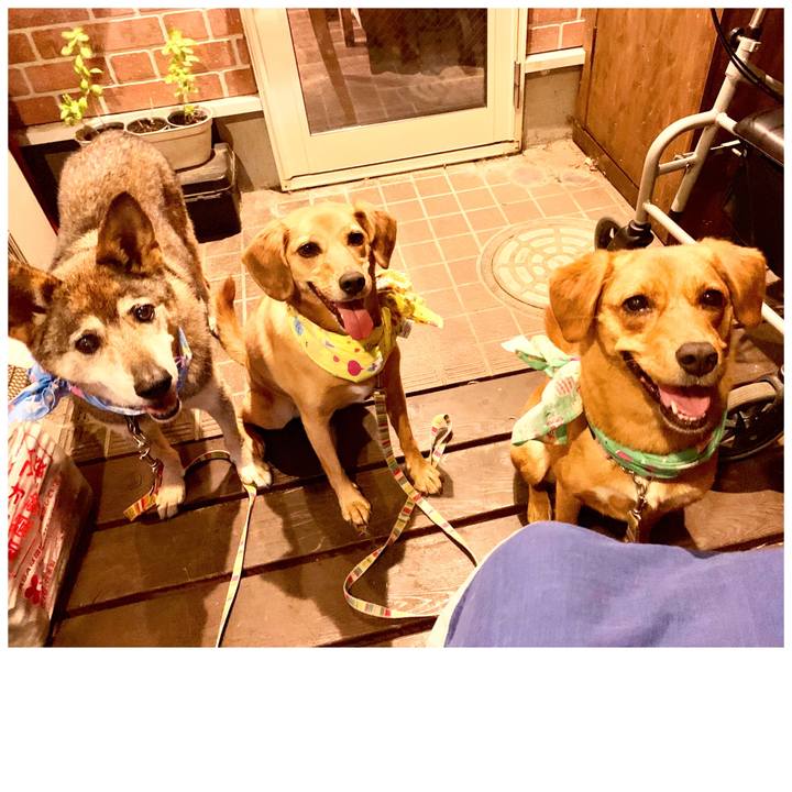 E9189ba2 f7ce 4d16 a254 096c44e103c6 1567765234409