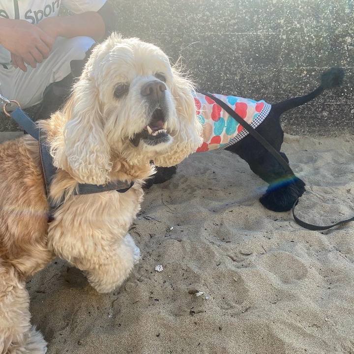 E9189d3e 92c7 4d90 99ff 73c73ea86f32 1649557430111