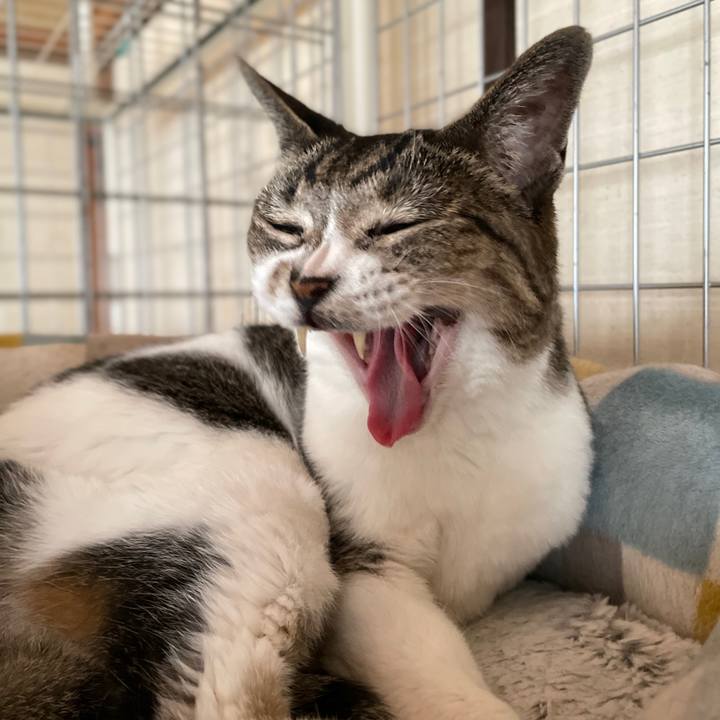 E918c1cc 493e 4fef ab1b 532d0bc65d72 1658188041020