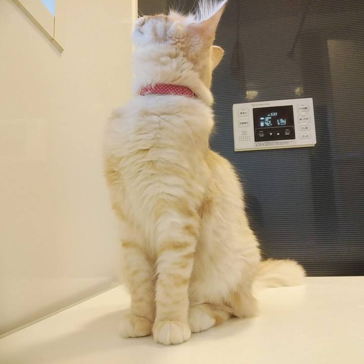 E918d87e a5fc 4070 bd9e 2170ec2084fd 1614244199964